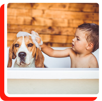 Water Softener Service in Knoxville, TN